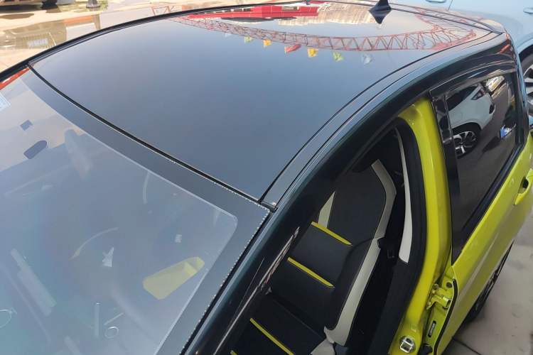 Used SOL E10X 2022 Flower Fairy Design Four-Leaf Clover
