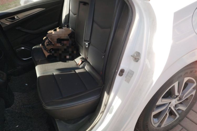 Used CHANGAN Eado 2018 High-Energy Edition 1.6L GDI Automatic Pioneer Model China V Standard Left Rear Seat