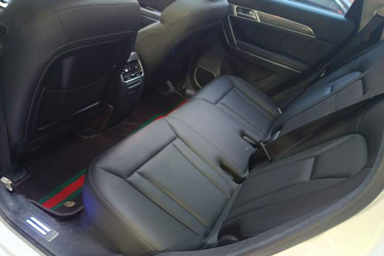 Used Haval H6 Coupe 2015 Blue Label 2.0T Manual Two-Wheel-Drive Elite Model Left Rear Seat