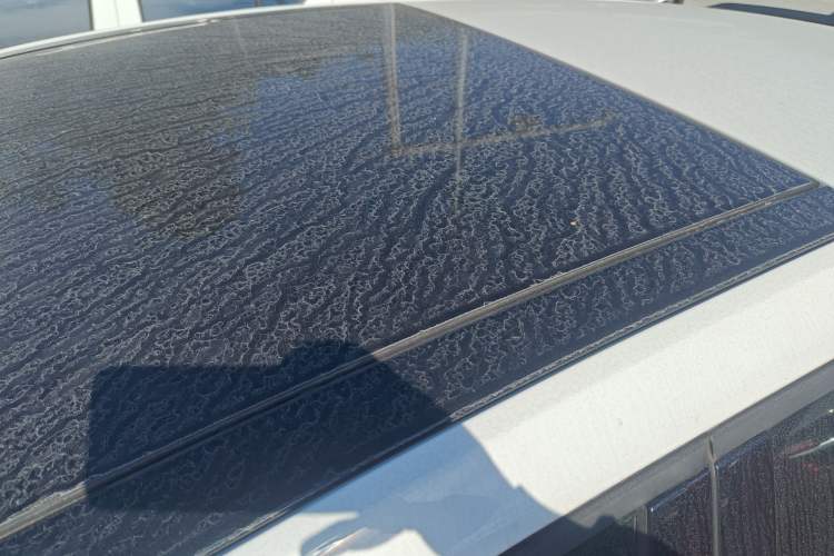 Used Volkswagen Golf 2016 230TSI Manual Comfort Version