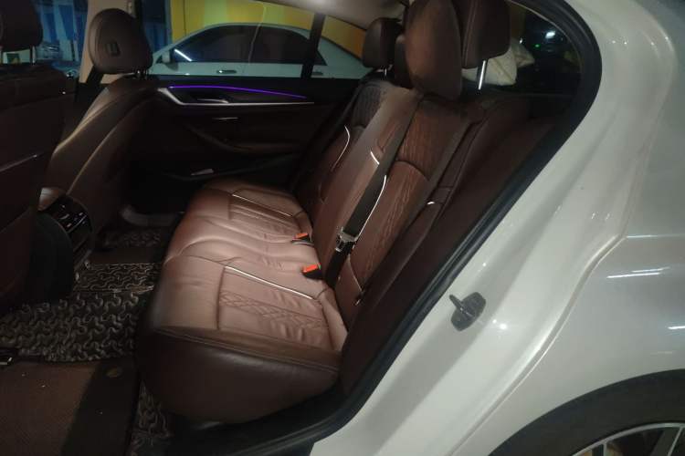 Used BMW 5 Series New Energy 2019 Updated Version 530Le Luxury Package
