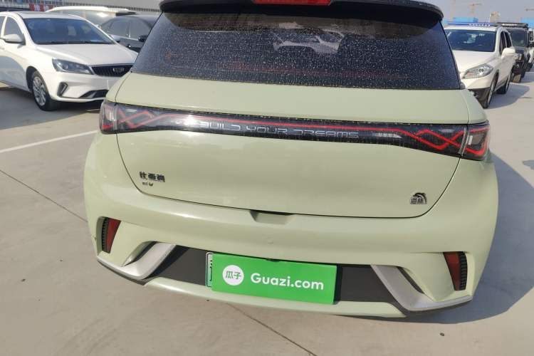 Used BYD Dolphin 2021 405 km Fashion Edition Rear