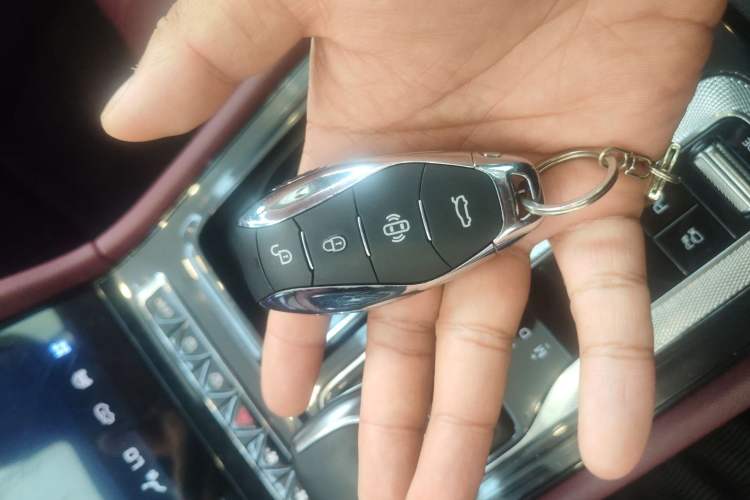 Used Hongqi H5 2024 2.0T Automatic Smart Connect Flagship Edition