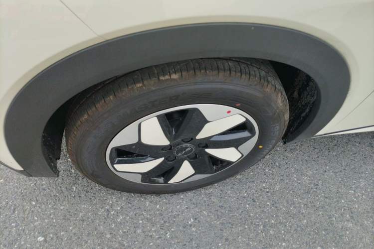 Used BYD Dolphin 2025 420km Free Edition