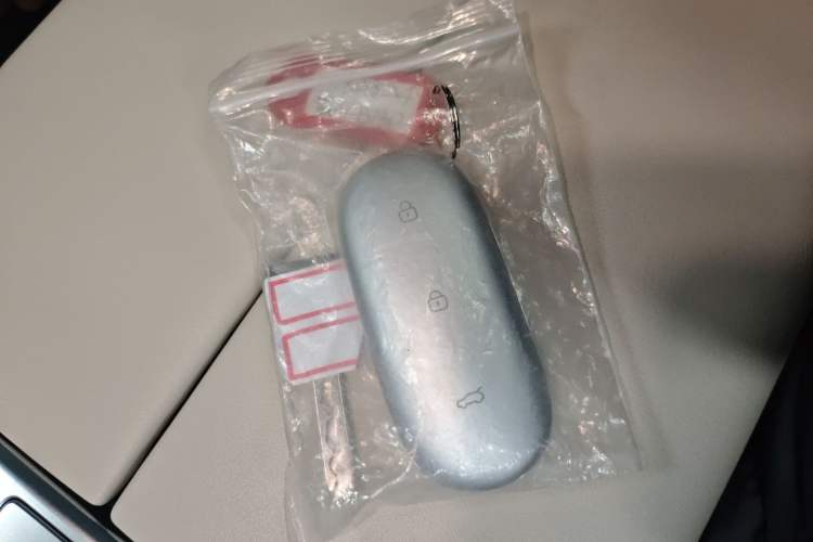 Used Li Auto L6 2024 Pro Model