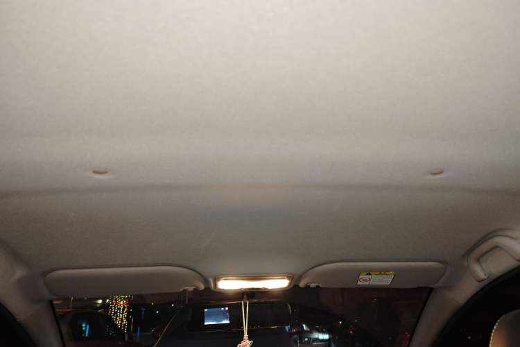 Used SOL E10X 2022 Flower Fairy Design Four-Leaf Clover Headliner