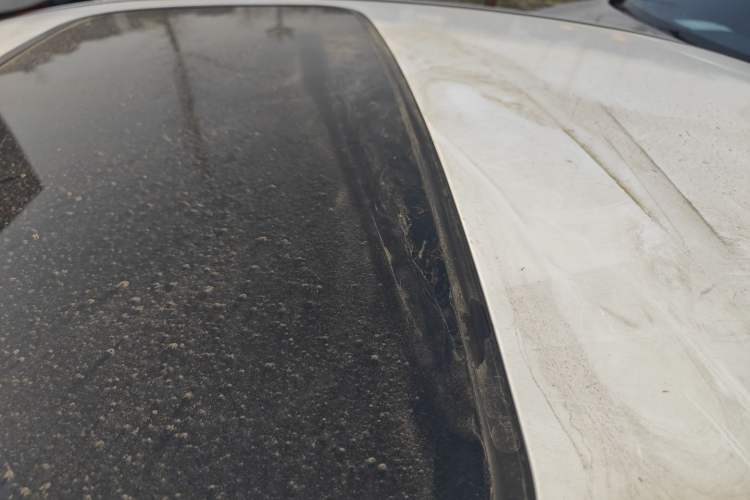 Used Ford Focus 2015 Sedan EcoBoost 180 Automatic Elite Model