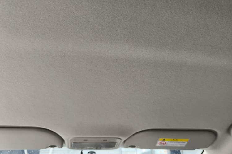 Used SOL E10X 2022 Flower Fairy Style Baby's Breath