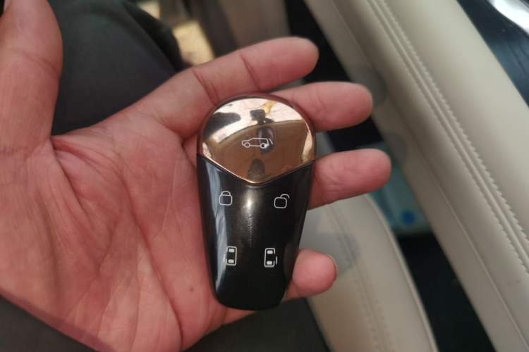 Used VOYAH Dream 2022 Low-Carbon Edition Home