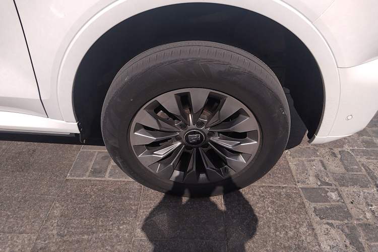 Used Tank 500 2023 3.0T Sport Edition Realm-Setting 5-Seater