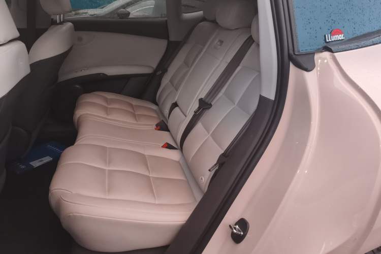 Used IM LS6 2023 Max Long-Range Version
