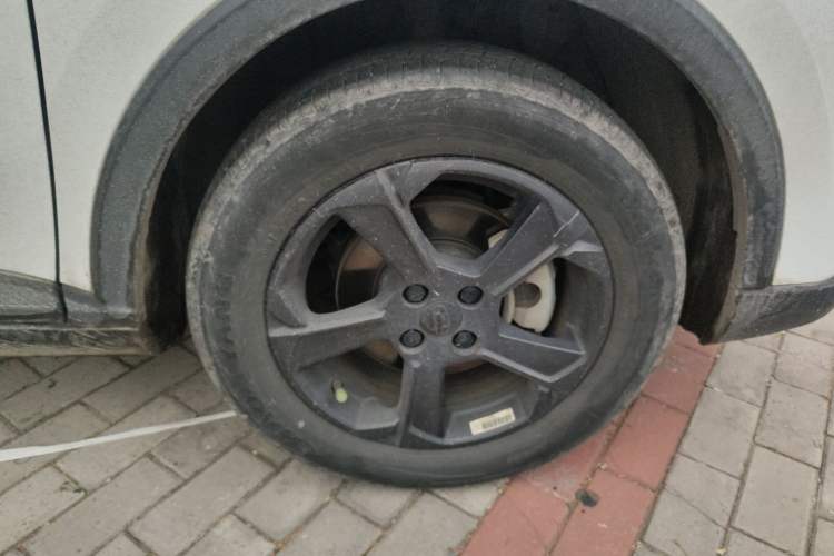 Used Geometry E Firefly 2023 320KM Happy Tiger 5-Seater