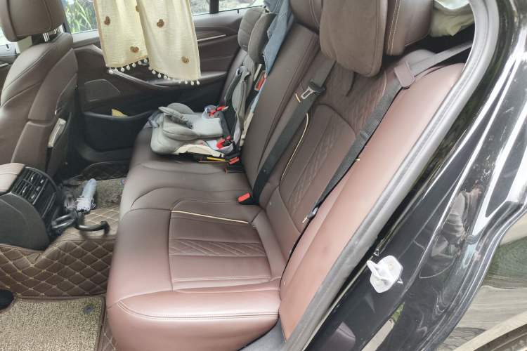 Used BMW 5 Series New Energy 2020 530Le Pioneer Edition
