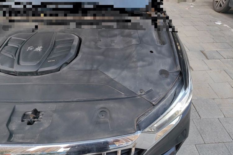 Used Hongqi HS5 2019 2.0T Smart Connect Flagship Edition