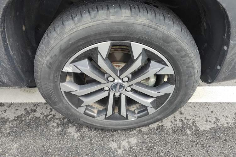 Used Haval DARGO 2021 2.0T DCT Two-Wheel Drive Chinese Mastiff Edition
