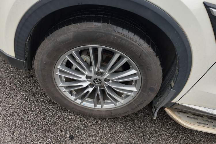 Used Venucia Star 2021 260T Automatic 48V Mild Hybrid Turbocharged Star Achieve Edition Exterior 4