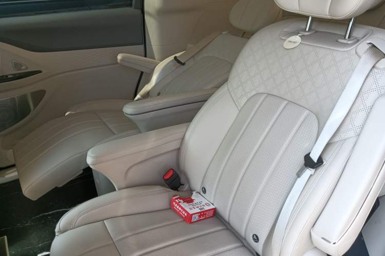 Used VOYAH Dream 2022 0-Emission Version Range of 475 km Left Rear Seat