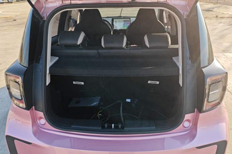 Used SOL E10X 2022 Flower Fairy Design Sunflower