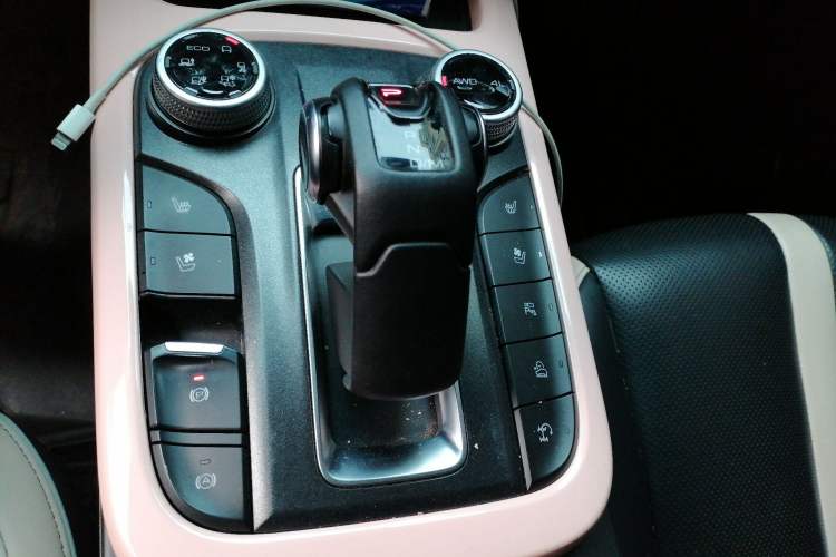 Used Tank 300 2021 City Edition 2.0T—Truly Stylish
