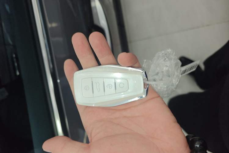 Used Geely Auto Preface 2025 Dongfang Yao 2.0TD Moonlight Edition