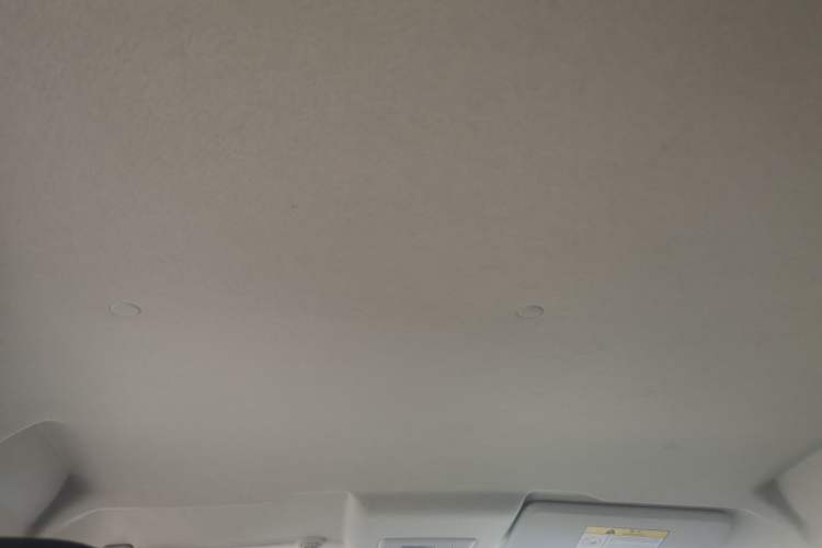 Used CHANGAN Benni E-Star 2020 Xinyue Edition Lithium-NMC Headliner