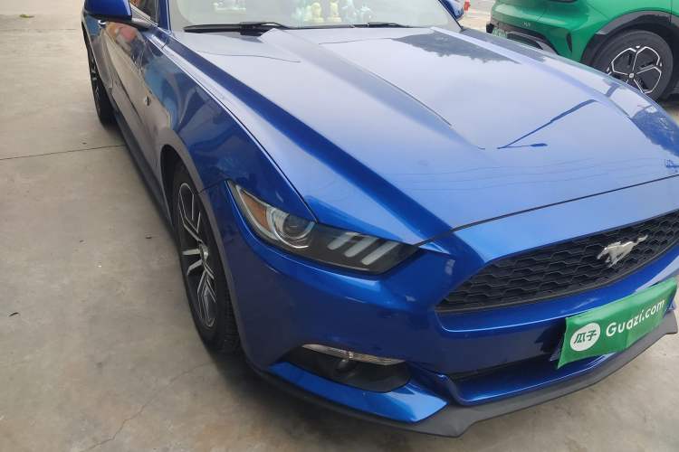 Used Ford Mustang 