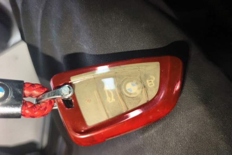 Used BMW X1 New Energy 2018 xDrive25Le Luxury Model
