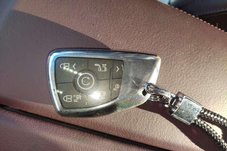 Used Buick Century 2023 2.0T Six-Seater Yinshi Edition