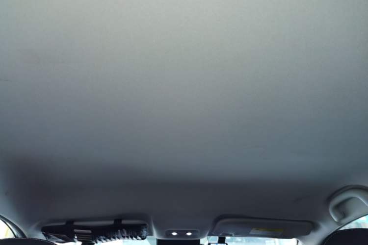 Used NETA V 2021 Long-Range Entertainment Edition Upgrade Model
