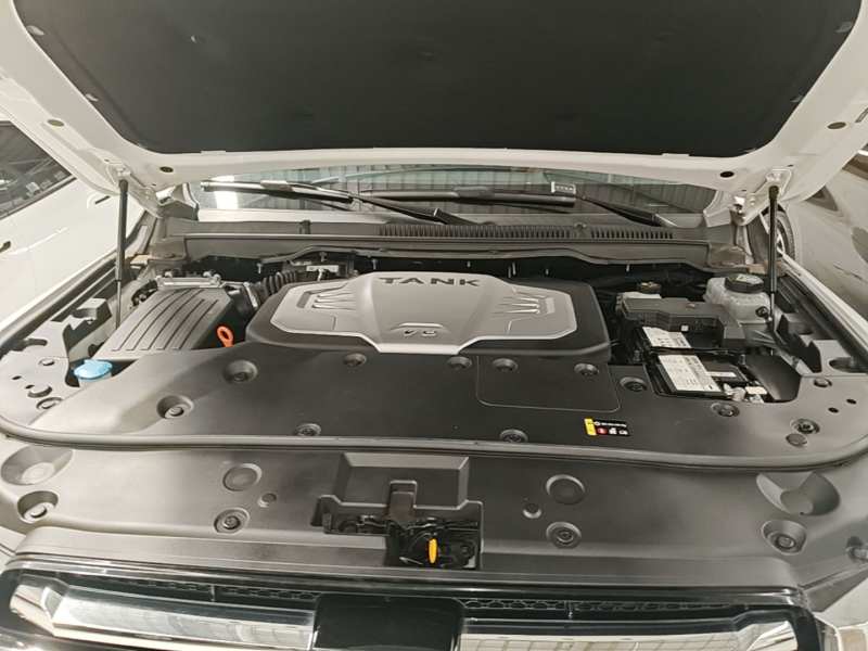 Used Tank 500 2023 3.0T Sport Edition Summit Model 5-Seater — 19