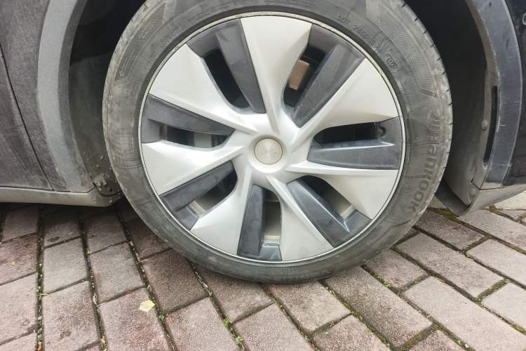 Used Tesla Model Y 2021 Standard Range Rear-Wheel Drive Version
