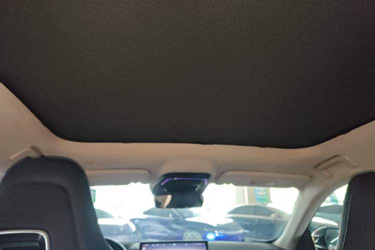 Used Zeekr 001 2021 Ultra-Long Range Single-Motor WE Edition Headliner