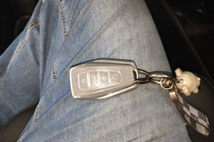 Used Geometry E Firefly 2022 401KM Lightning Tiger 5-Seater