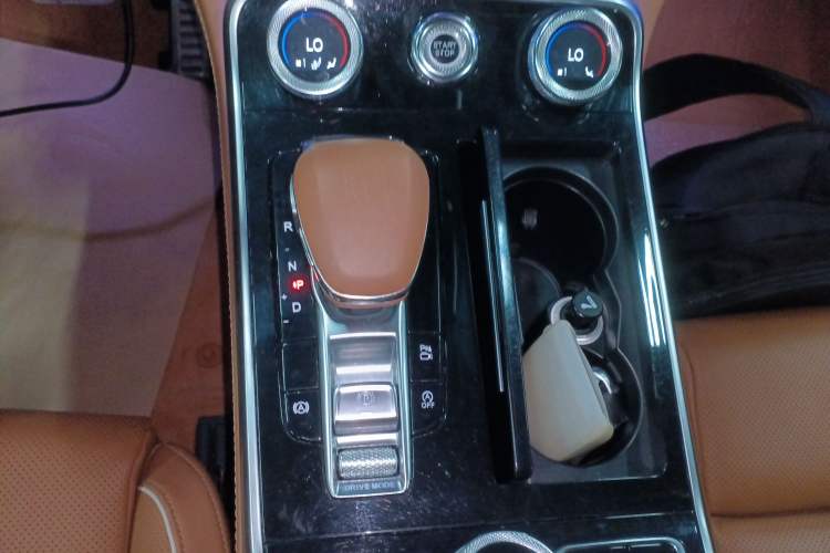 Used Hongqi H9 2020 2.0T Smart Connect Flagship Edition Gear Lever