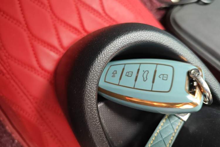 Used ORA Black Cat 2021 301 km Basic Version