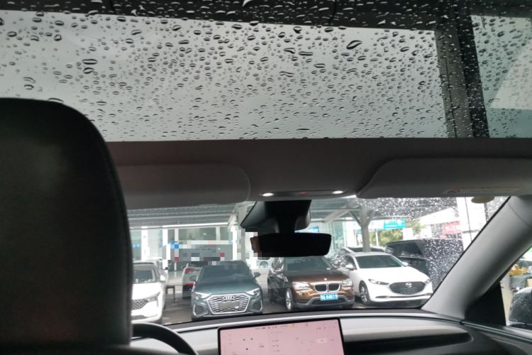 Used Tesla Model Y 2025 Long-Range All-Wheel-Drive Version Headliner