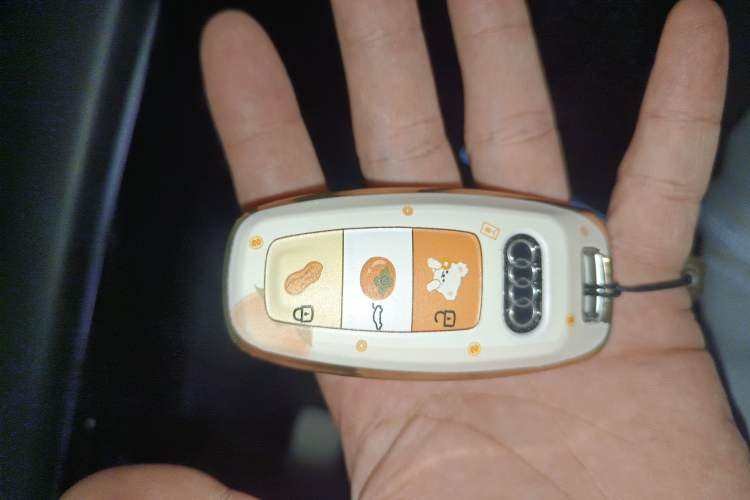 Used Audi Q8 2022 55 TFSI Luxury Dynamic Edition