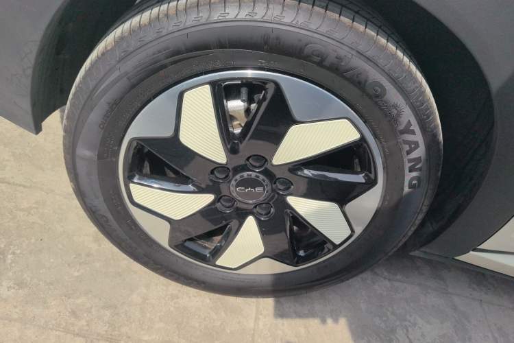 Used BYD Dolphin 2024 Honor Edition 420km Freedom Version