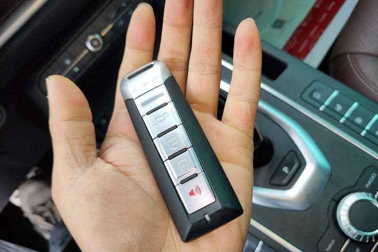 Used Wey VV6 2019 2.0T Two-Wheel-Drive Flagship Version China VI Standard