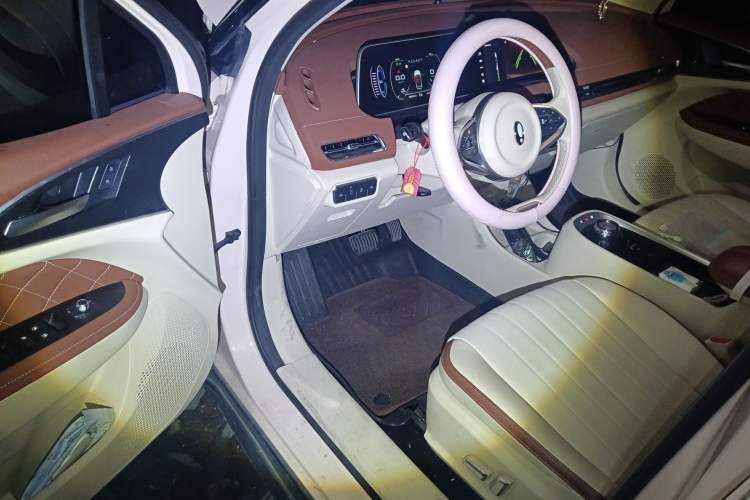 Used ORA Good Cat 2022 Morandi Edition 400km Standard Range Luxury Version Lithium Iron Phosphate Driver Seat