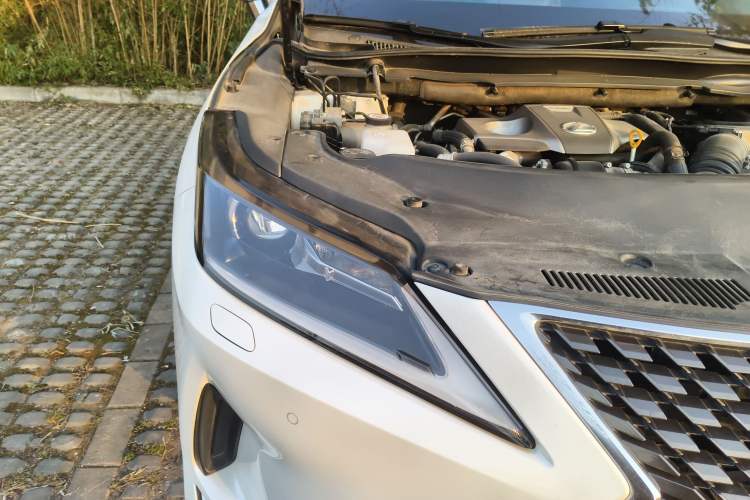 Used Lexus RX 2020 300 Two-Wheel Drive Elite Edition China VI Standard