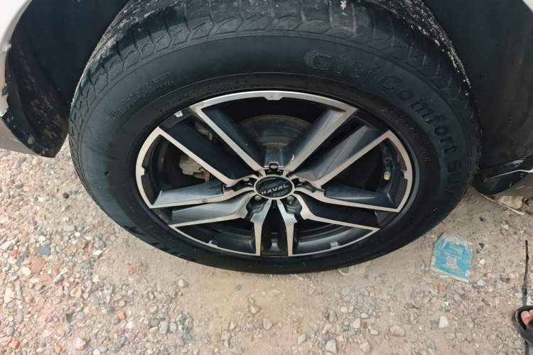 Used Haval F5 2019 National Trend Edition 1.5T i-Type China VI Standard