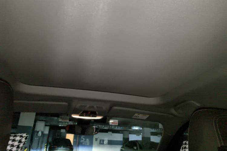 Used BMW X1 2020 sDrive20Li Premium Edition Headliner