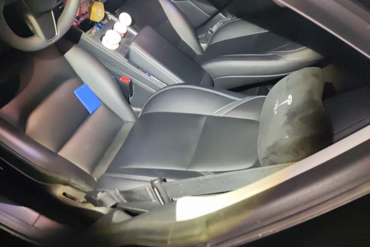 Used Tesla Model 3 2022 Rear-Wheel-Drive Version
