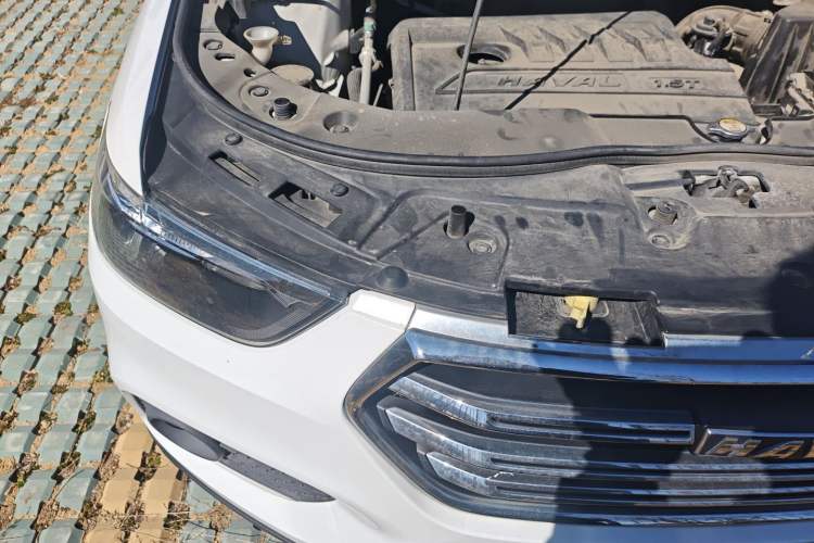 Used Haval H6 2018 Blue Label Sport Edition 1.5T Manual Two-Wheel Drive Elite Model