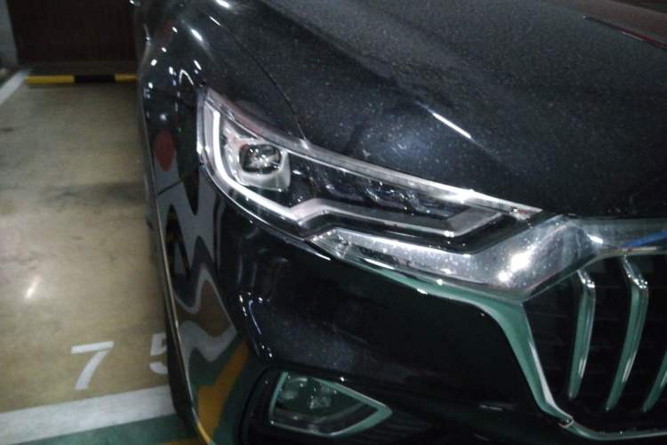 Used Hongqi HS5 2019 2.0T Smart Connect Flagship Edition
