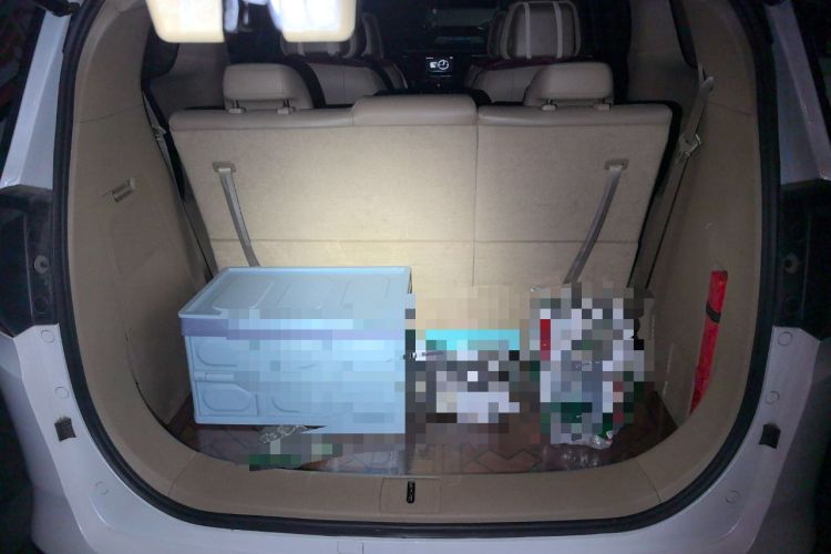 Used Buick GL8 2018 ES 28T Premium Model China VI Standard