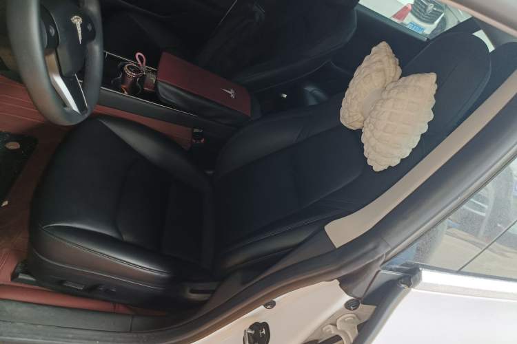 Used Tesla Model 3 2020 Revised Version Standard Range Rear-Wheel Drive – Upgraded Edition Left Front Seat