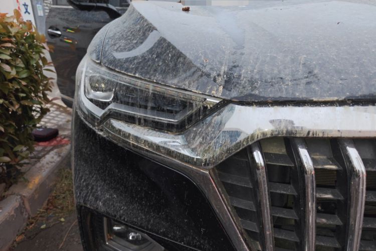 Used Hongqi HS5 2019 2.0T Smart Connect Flagship All-Wheel-Drive Version
