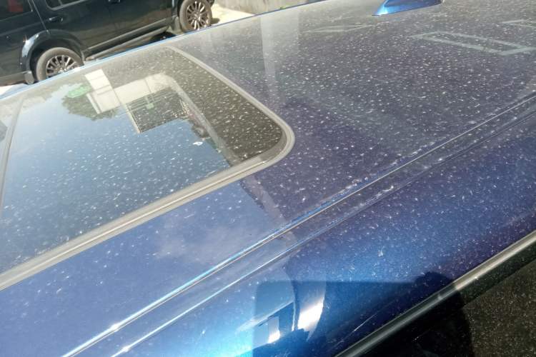 Used BMW X2 2021 sDrive25i Leading Model M Sport Package